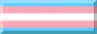 Badge of the transgender pride flag.