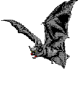 Bat flying right.